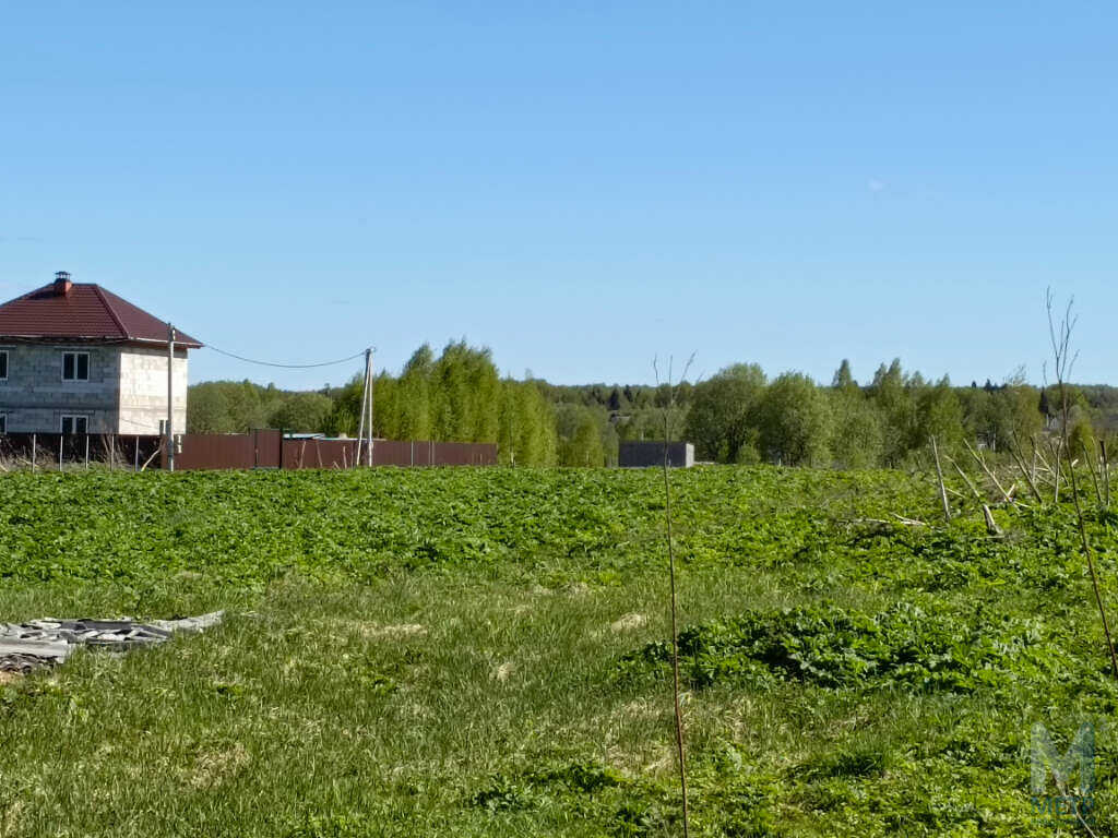 Купить земельный участок 20 соток, поселок совхоза Буденновец, городской  округ Дмитровский, Московская область, 2 100 000 руб., стоимость 105 000  руб.⁄сотка, в 52.3 км от МКАД, шоссе: Дмитровское, Рогачевское,  Ярославское, объявление 46313785