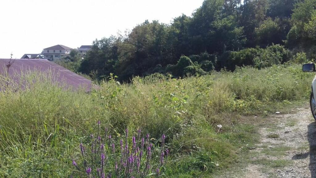 Село нижняя шиловка. Отделении полиции с. нижняя Шиловка Адлерский район.